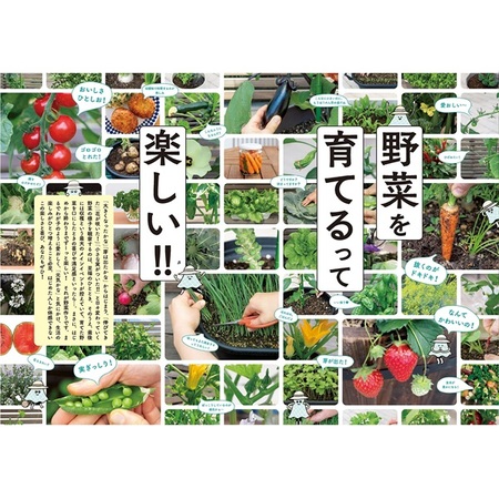 趣味の園芸の本 池田書店 プランターで楽しむ　おうちで野菜づくり3635